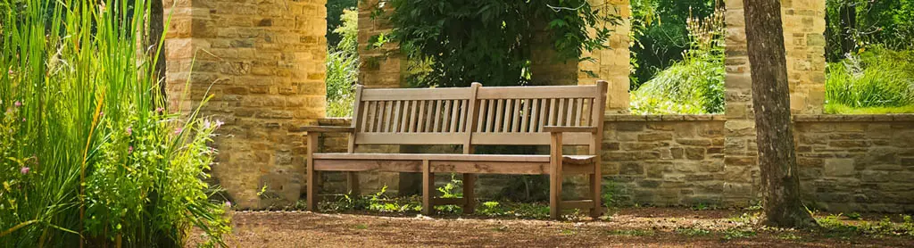 Wooden bench in backyard in sunny day